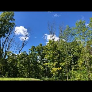 Meet your Posher, Tonya